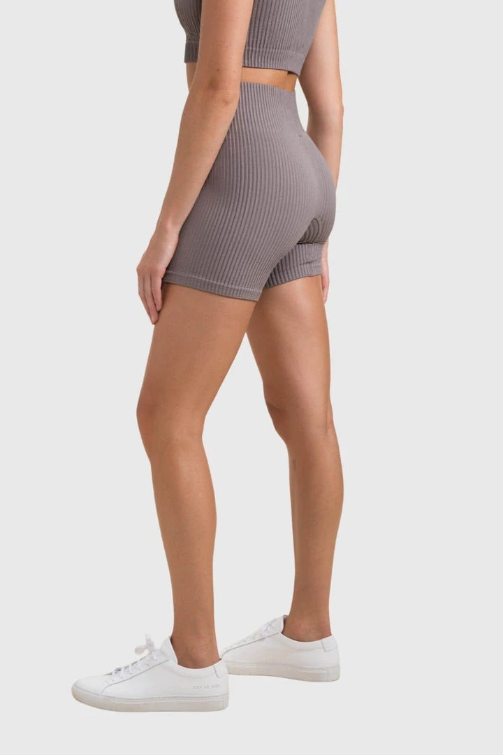 Ribbed Seamless High Waisted Short Shorts