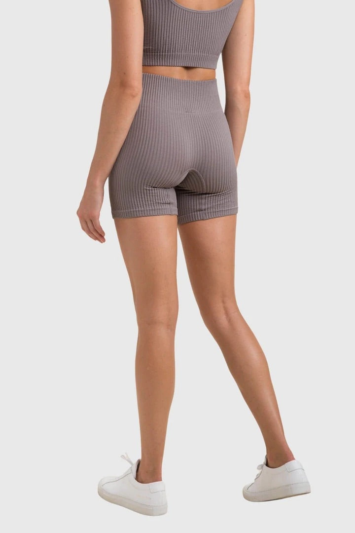 Ribbed Seamless High Waisted Short Shorts